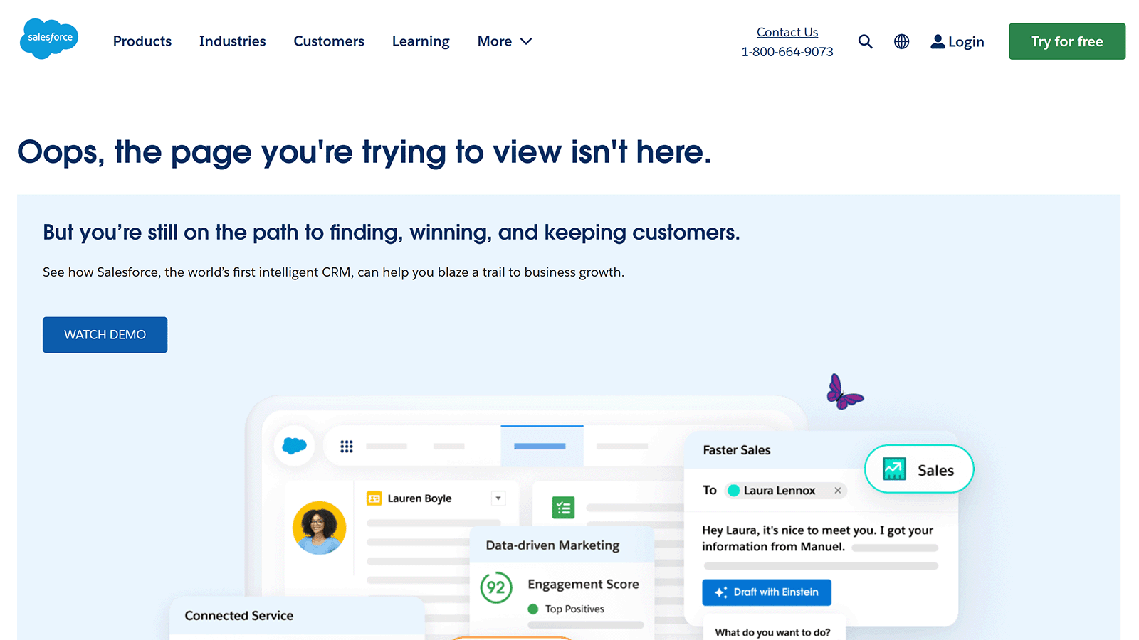 Salesforce 404 page