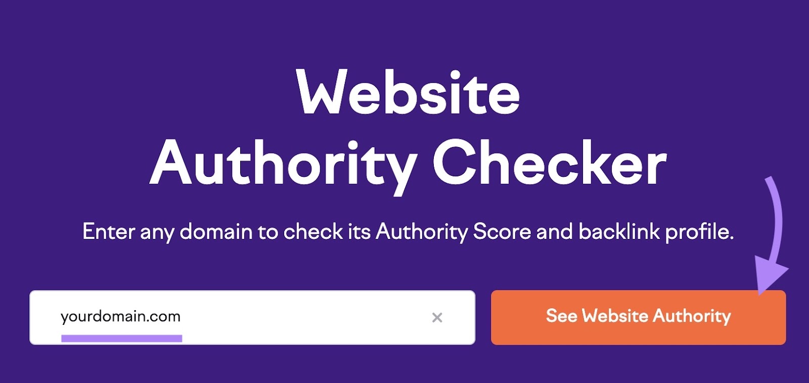 Website Authority Checker tool start with a domain entered and the "See Website Authority" button clicked.